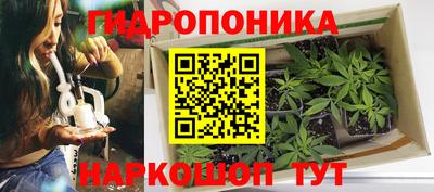гашик Гусев